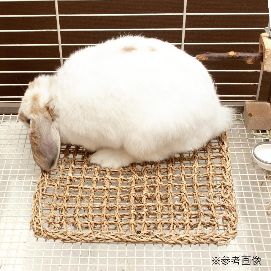 うさぎのほりほりイ草マット カラビナ付き 1枚 モルモット デグー