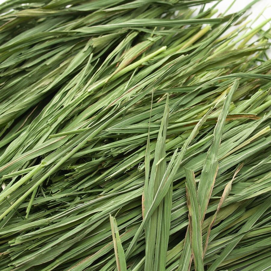 Leaf Corp 国産牧草 やみつき 霜降りオーツヘイ 20g うさぎ 牧草