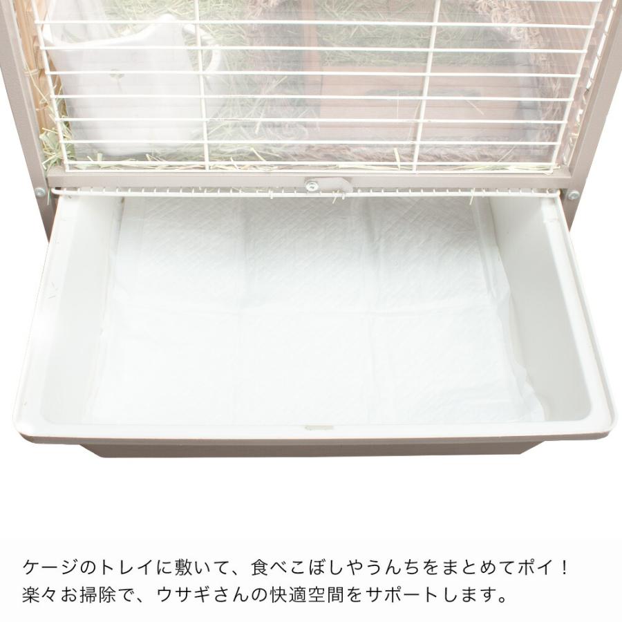 うさぎ用 ペットシーツ ワイド 薄型 40枚（60cm×45cm）国産 