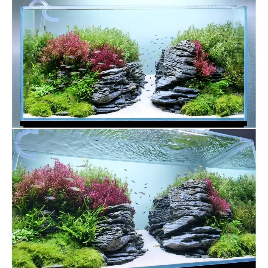 アクロ TRIANGLE LED VIVID BLACK 600 水草