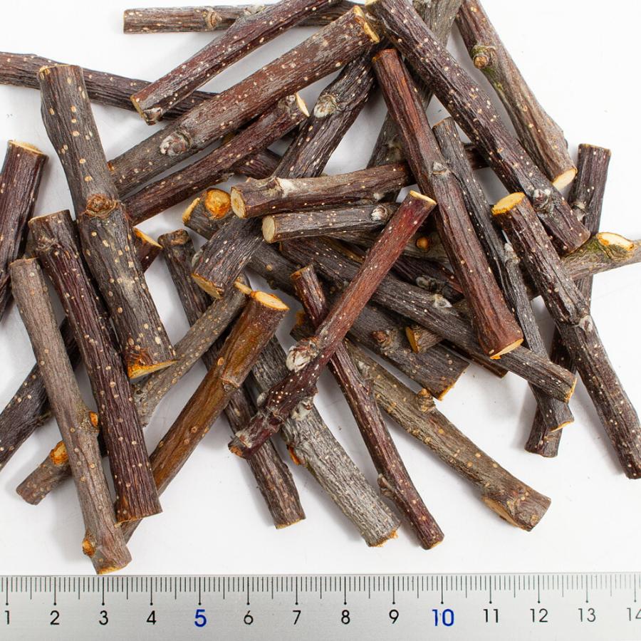 Leaf Corp かじり木 国産 りんごの木のかじり木 細枝 ショート