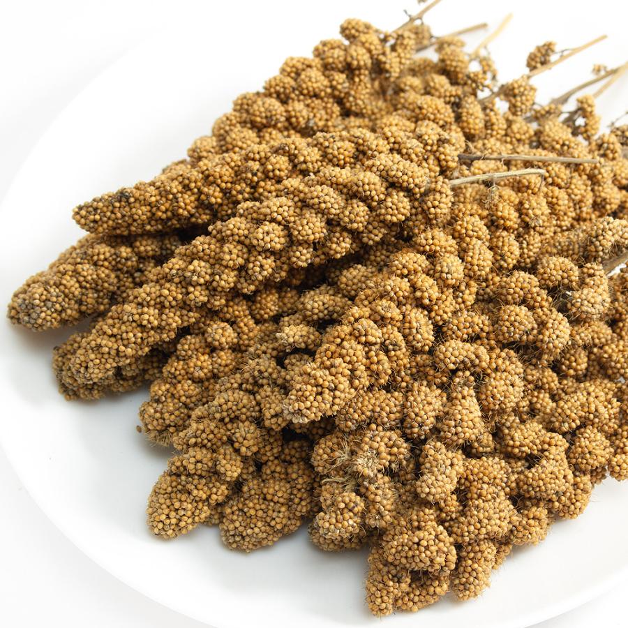 Leaf Corp 小動物の食事 北海道産 あわの穂 150g 農薬不使用