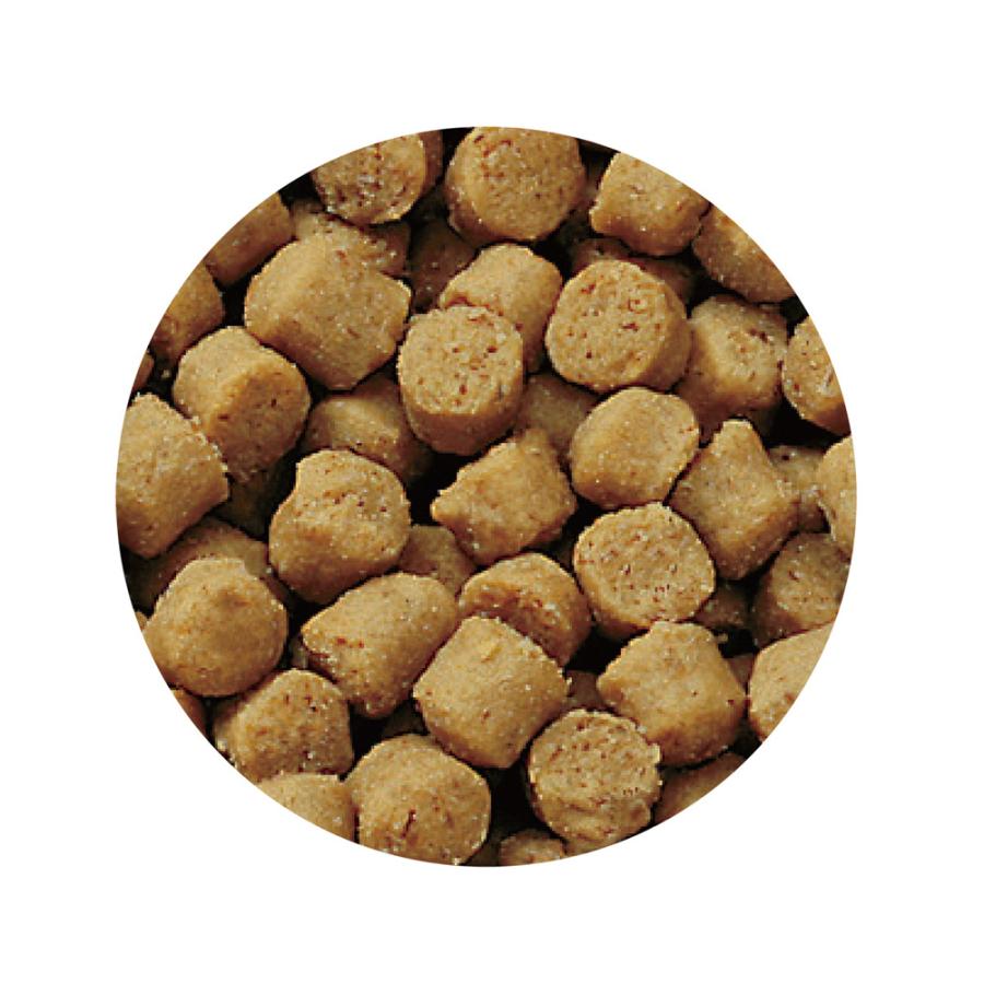 サンライズ　スタイルズ　トイプードル用　１．２ｋｇ（１２０ｇ×１０パック）　６袋 | STYLES（Sunrise） | 01