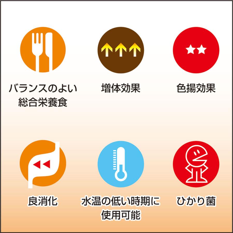 Hikari(ペット用品) 鯉の餌 キョーリン 咲ひかり 低水温用 Hikari(ペット用品) 鯉の餌 キョーリン 咲ひかり 低水温用