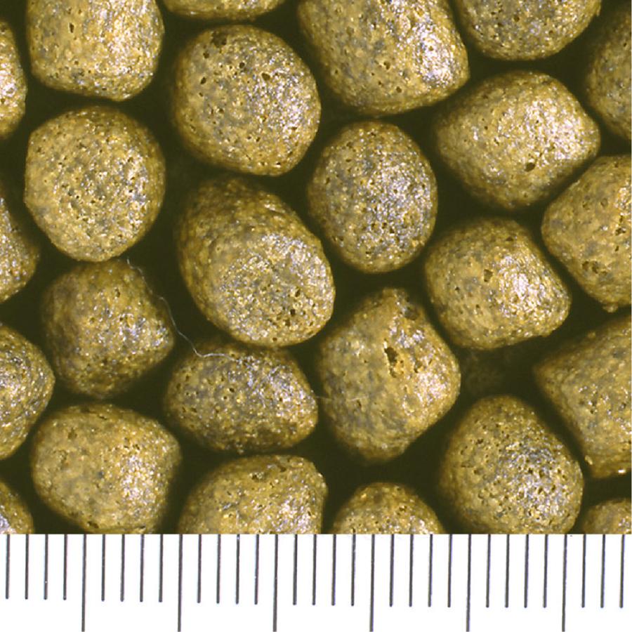 Hikari（ひかり） 鯉の餌 キョーリン 咲ひかり 低水温用 浮上 L