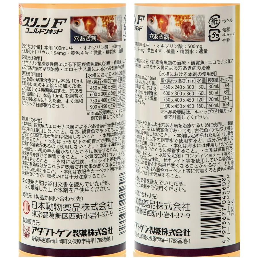 小動物の治療薬 小動物の治療薬 第3版 | 桃井 康行 |本 | 通販 | Amazon