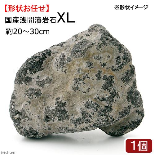 チャーム（charm） 浅間溶岩石 XLサイズ 約23〜30cm 1個 形状