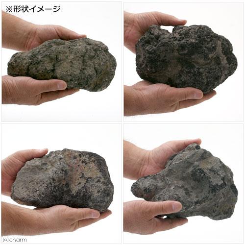 チャーム（charm） 浅間溶岩石 XLサイズ 約23〜30cm 1個 形状