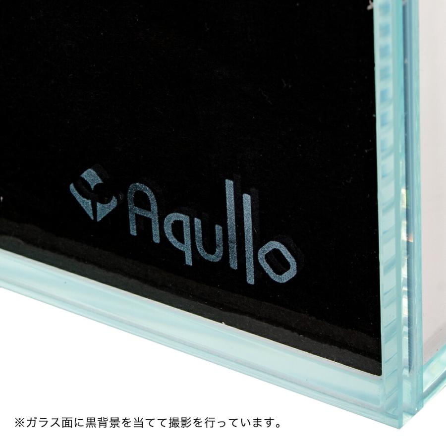 アクロ ガラス水槽 アクロ60ハイ＋スーパークリア 60×30