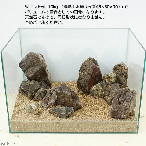 チャーム（charm） 風山石 10kg 約5〜20cm 60cm水槽向け