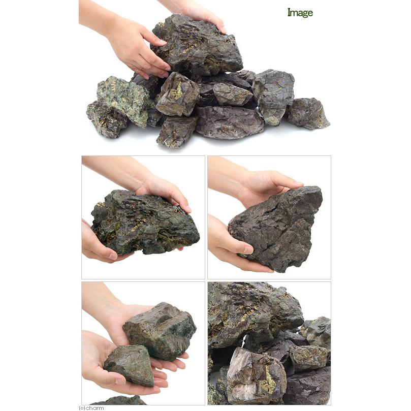 アクアリウム用 流木 風山石6kg 流木と風山石でレイアウト開始！60cm