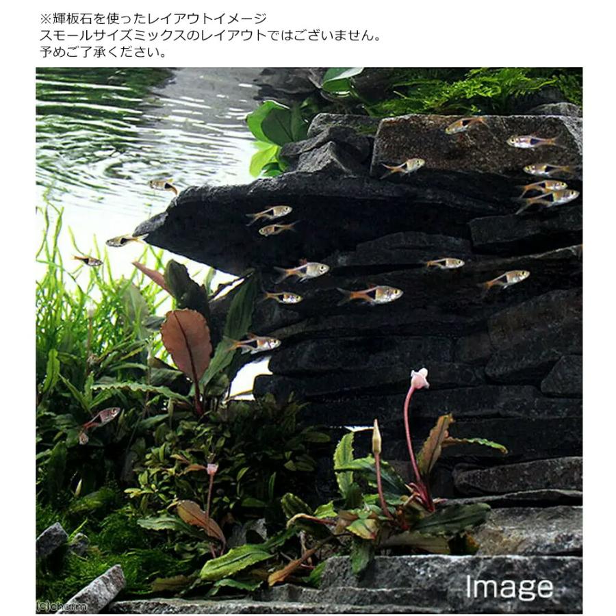 チャーム（charm） 輝板石 スモール 約2〜8cm 1kg 形状お任せ