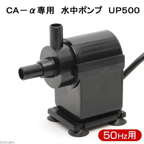 【新品未使用品！】H&S カルシウムリアクター CA-0 50Hz レッドシー H＆S カルシウムリアクター CA−α専用 水中ポンプ