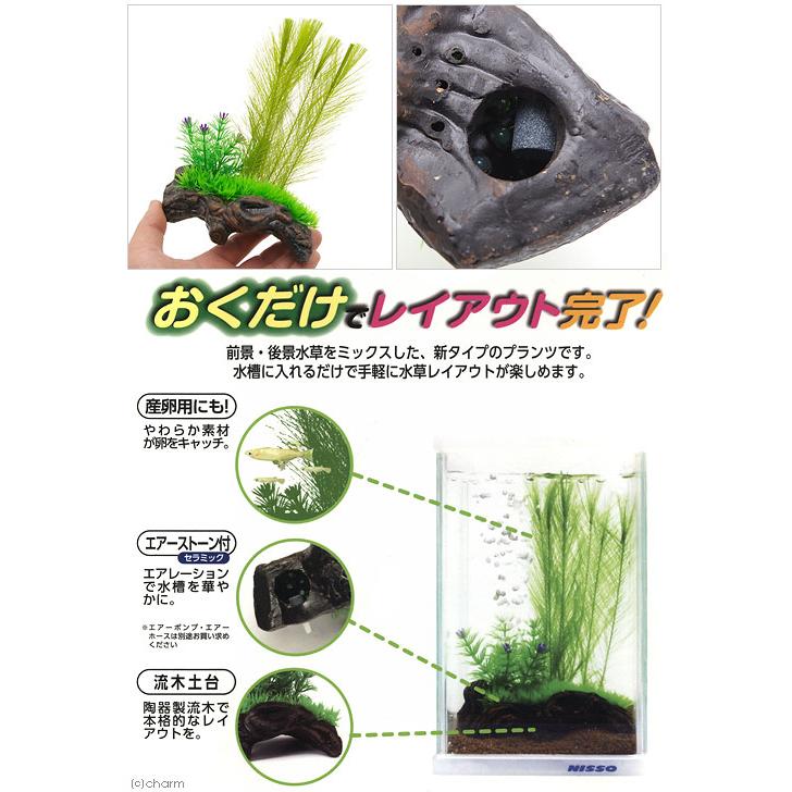 ニッソー ニッソー リトルガーデン 流木1 人工水草 : charm 第2ヤフー