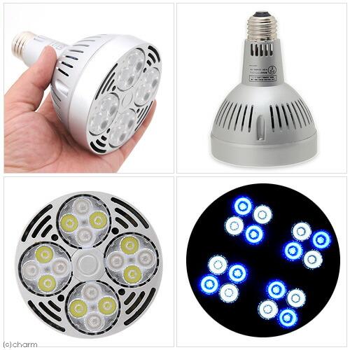 アクアシステム 交換球 ファインスポット LED 35W ブルー アクアシステム 交換球 AXY FINESPOT （アクシー ファイン