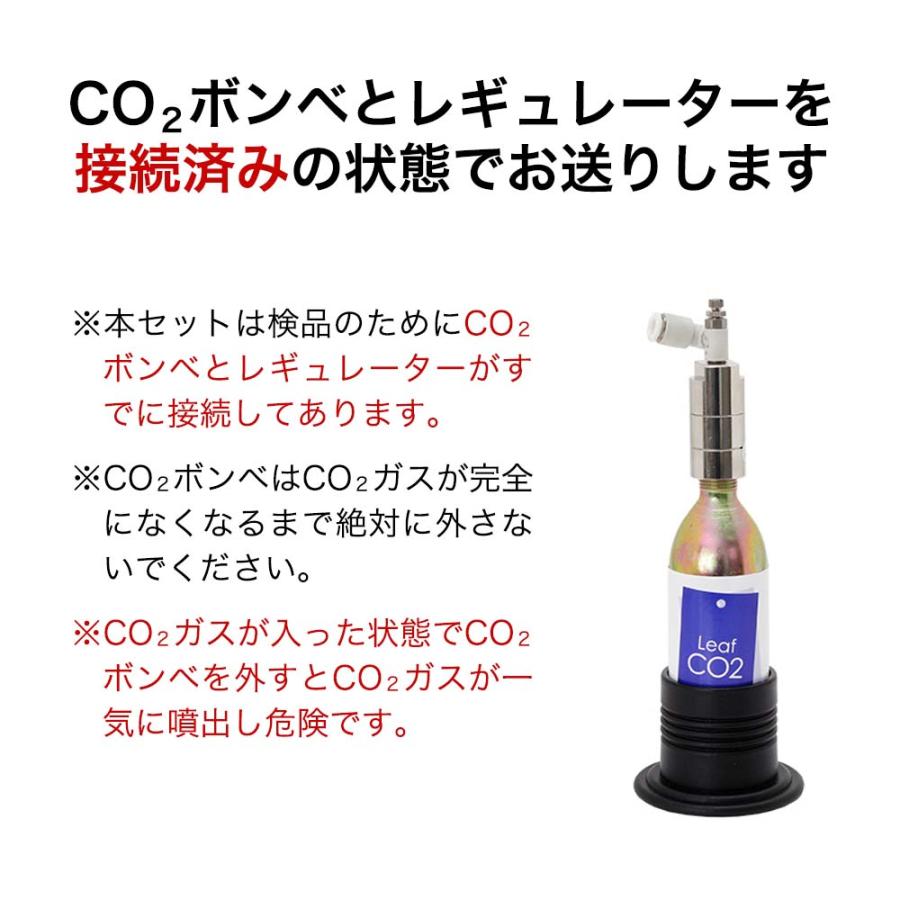 Leaf Corp CO2フルセット チャームオリジナルコンパクト