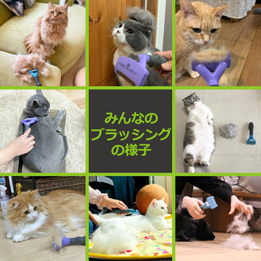 ファーミネーター 中〜大型猫 長毛種用 正規品 ペット ブラシ 抜け毛
