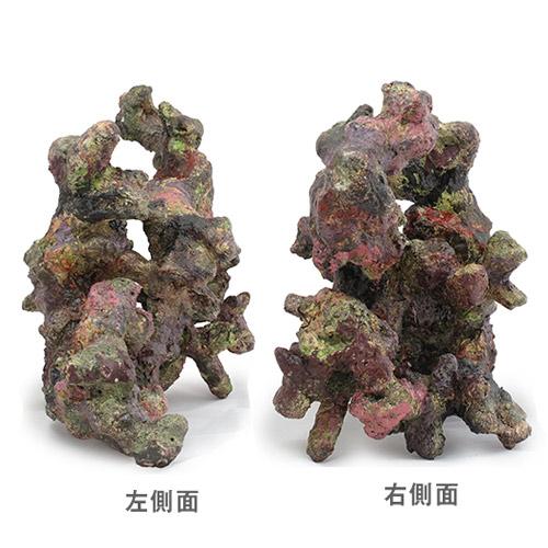 ライブロックモジュール A アクアリウム 擬岩 : charm 第2ヤフー店