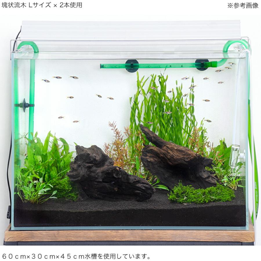 水槽用流木 アクアリウム レイアウト素材 公式オンラインショップ