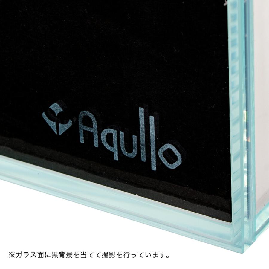 アクロ ガラス水槽 アクロ60 スーパークリア 60×30×36cm