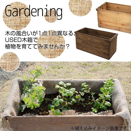 Leaf Corp りんご箱ガーデンセット 無塗装 麻袋・軽石砂・培養土付き