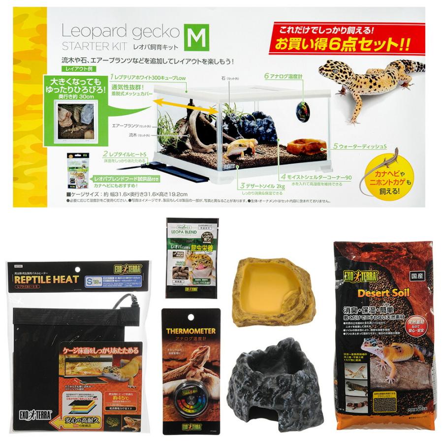 ＧＥＸ　エキゾテラ　レオパ飼育キットＭ　お一人様２点限り_1