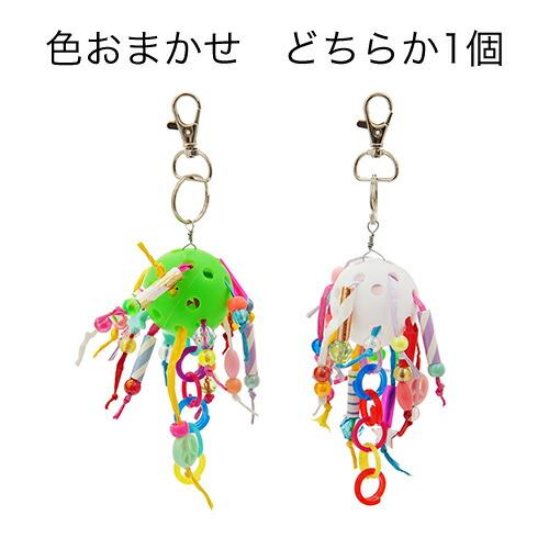 鳥かご　セキセイインコ飼育セット_1