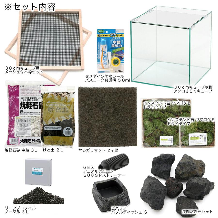 イモリウム　〜イモリの洞窟〜　レイアウトセット　お一人様２点限り_3