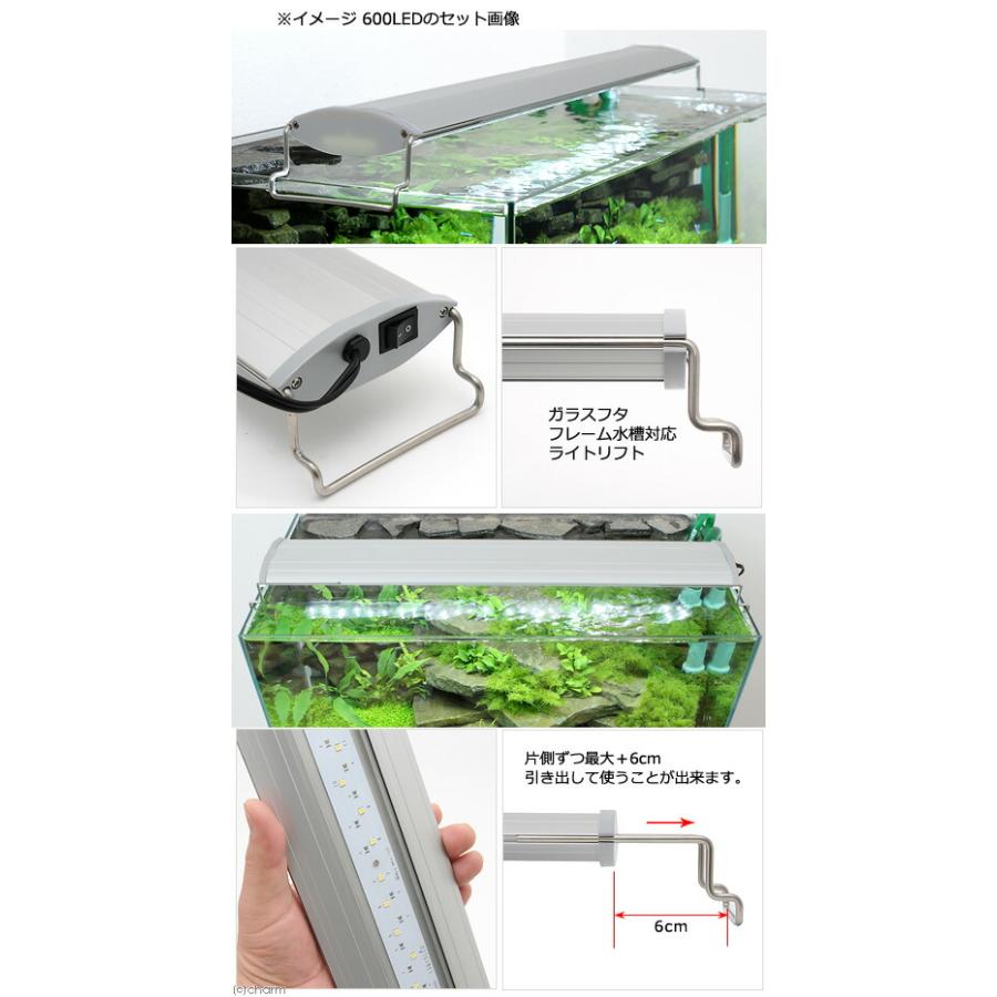 ３６ｃｍ水槽セット　アクアリウム用品シンプル３点（水槽・ＬＥＤライト＆フィルター）プロ推奨・初めての飼育セット_2