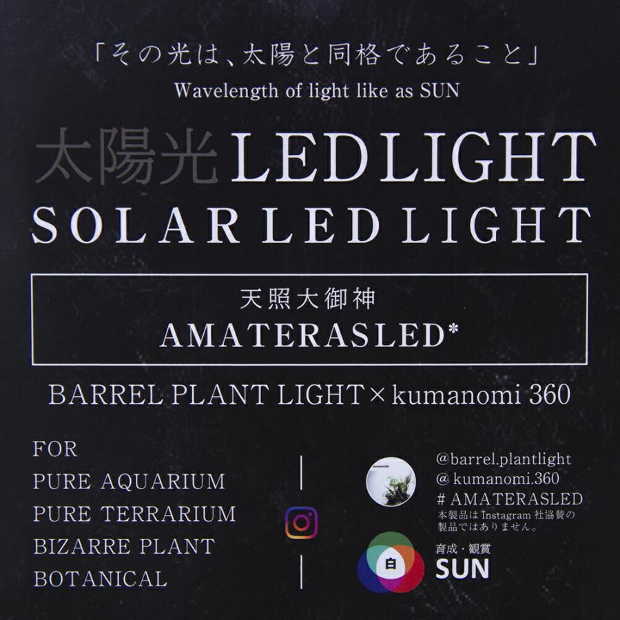 ＡＭＡＴＥＲＡＳ　１０Ｗ　植物育成用ライト　口金Ｅ２６　植物育成ライト　バレル　アマテラス　観葉植物　テラリウム_3
