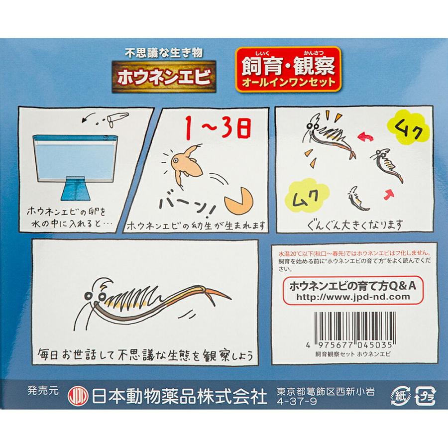 ニチドウ 日本動物薬品 飼育観察セット ホウネンエビ : charm 第2