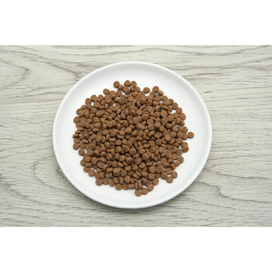 SELECT BALANCE キャットフード セレクトバランス キトン チキン 小粒