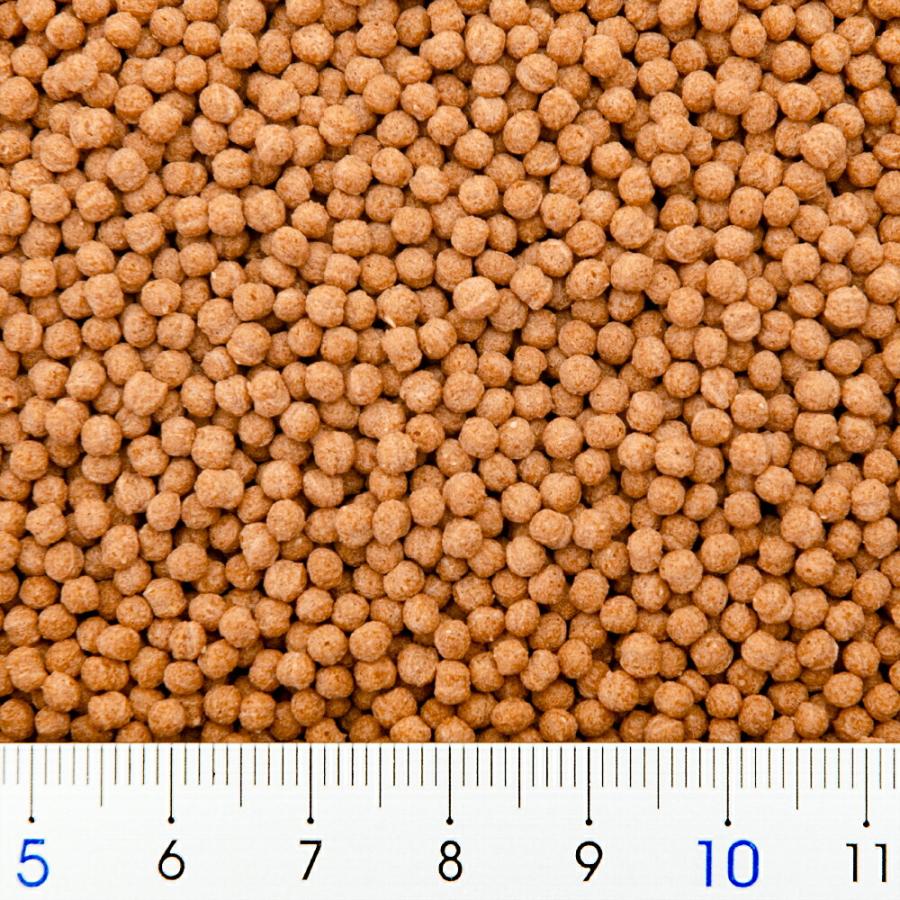 Tetra（テトラ） テトラフィン コケ対策 60g フード プレバイオ