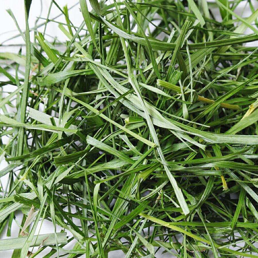 Leaf Corp うさぎ 牧草 令和8年産 国産牧草 旬のやわらかイタリアン