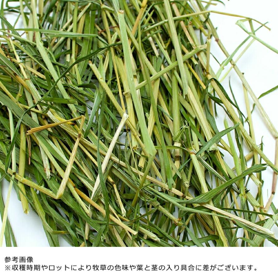 Leaf Corp うさぎ 牧草 令和8年産 国産牧草 旬のやわらかイタリアン