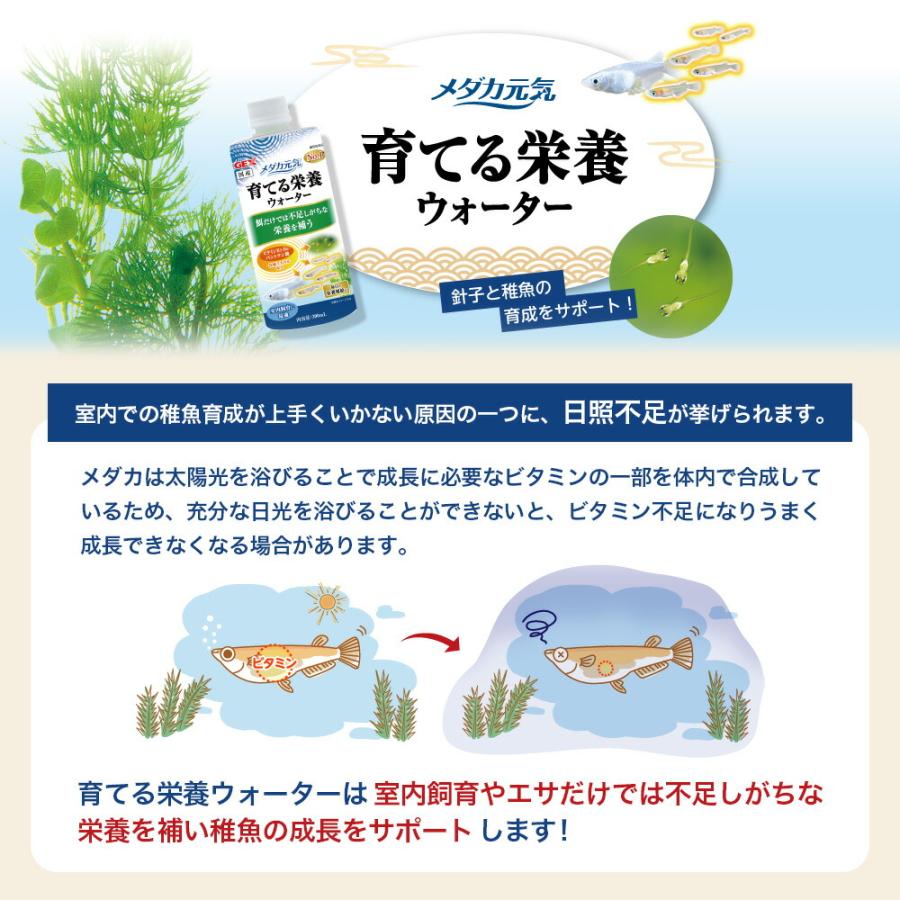 メダカ元気 GEX メダカ元気 育てる栄養ウォーター 300ml 稚魚