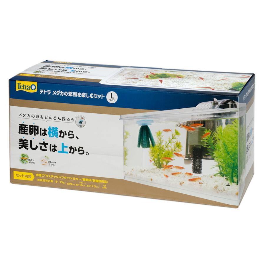 Tetra（テトラ） 水槽セット メダカの繁殖を楽しむセット L お一人様