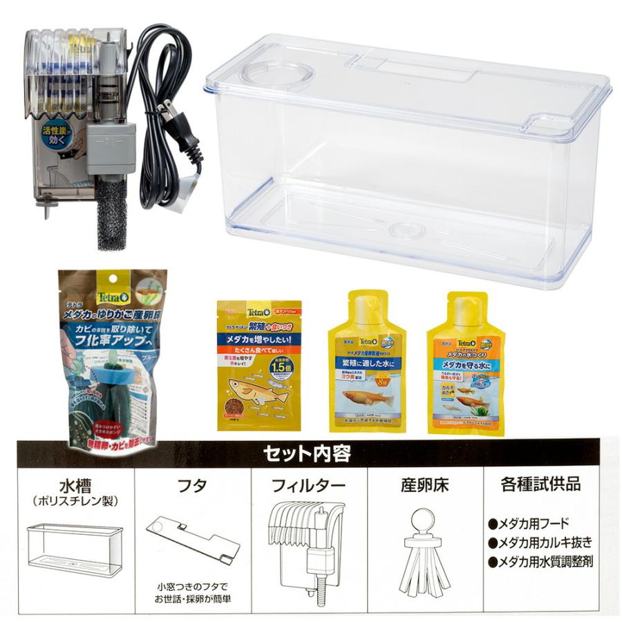 Tetra（テトラ） 水槽セット メダカの繁殖を楽しむセット L お一人様