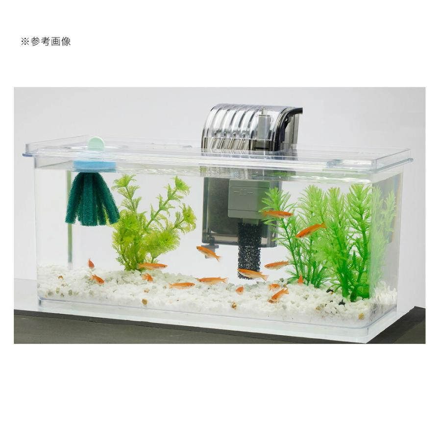 Tetra（テトラ） 水槽セット メダカの繁殖を楽しむセット L お一人様