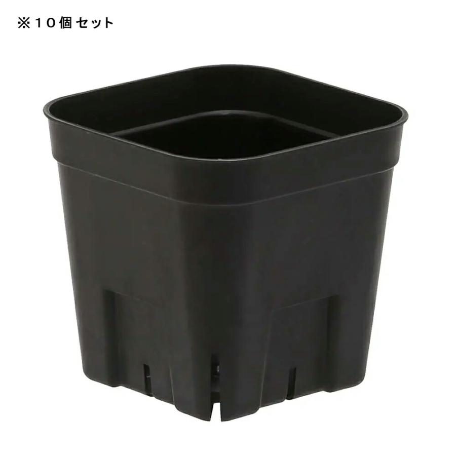スリット鉢 プレステラ 90型 黒 10個セット : charm 第2ヤフー店