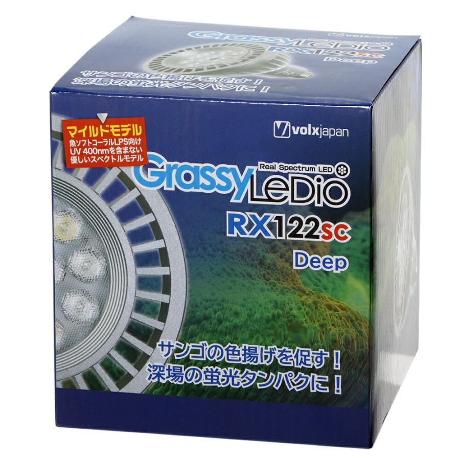 Volxjapan GrassyLeDio RX122sc MR 本体 Grassy LeDio（グラッシ