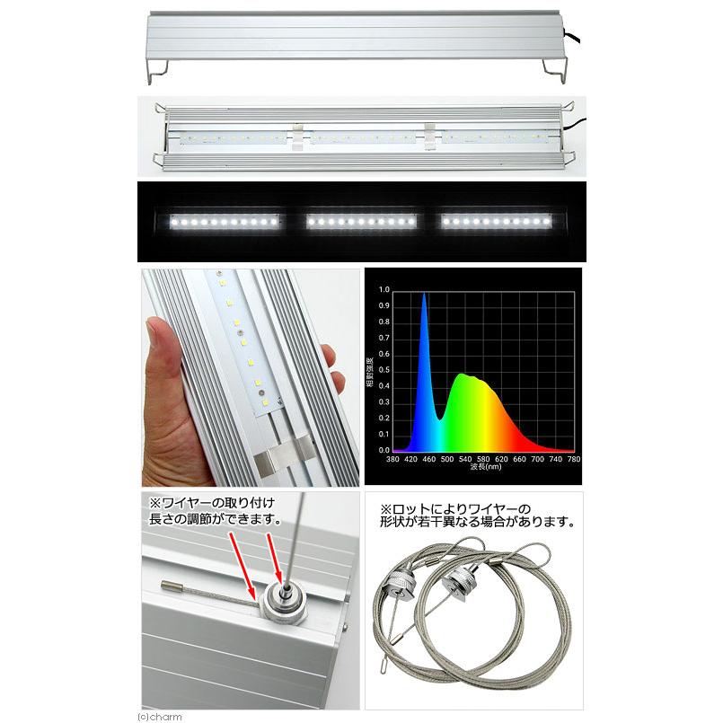 アクロ TRIANGLE LED BRIGHT 600 専用ライト