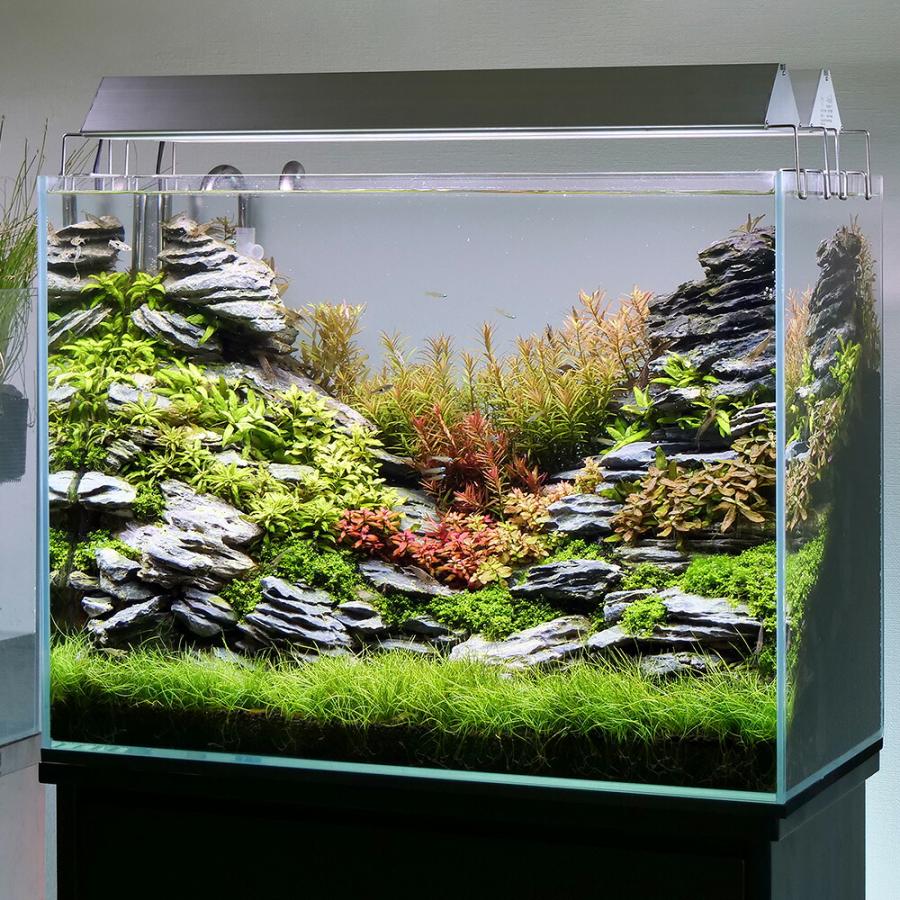 アクロ TRIANGLE LED GROW 600 2個セット アクロ TRIANGLE LED GROW 600 2個セット アクロトライアングルグロウ