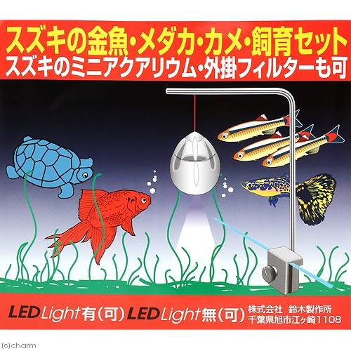 スズキの金魚・メダカ・カメ・飼育セット（幅17×奥行き17×高さ