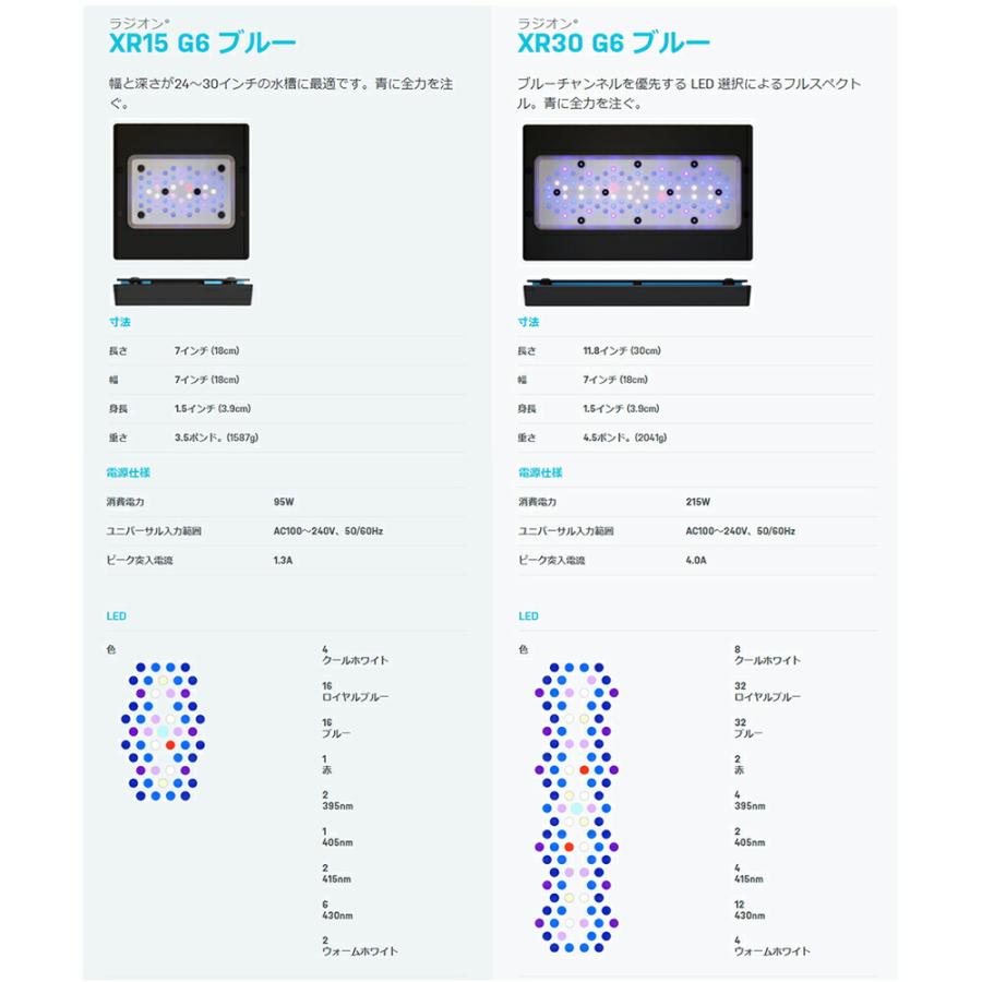 エコテックマリン Radion（ラディオン） G6 XR30 Blue