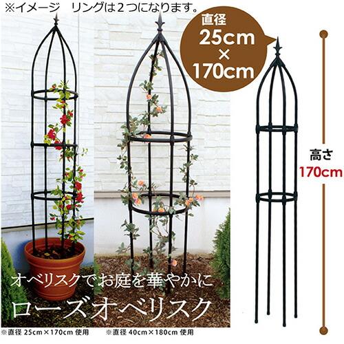 チャーム（charm） オベリスクでお庭を華やかに！ バラ鉢とオベリスク