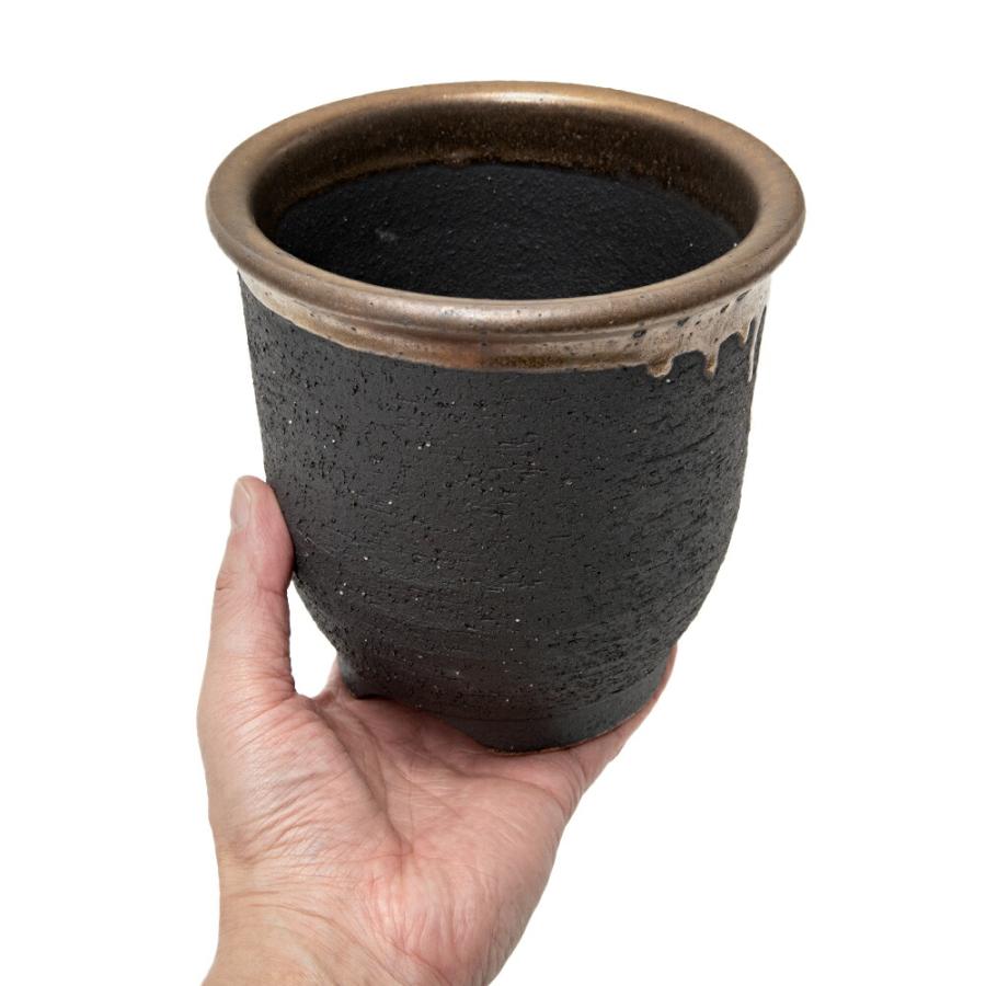 盆栽鉢 信楽焼 植木鉢 金彩大深 5号 多肉植物 山野草 : charm 第2