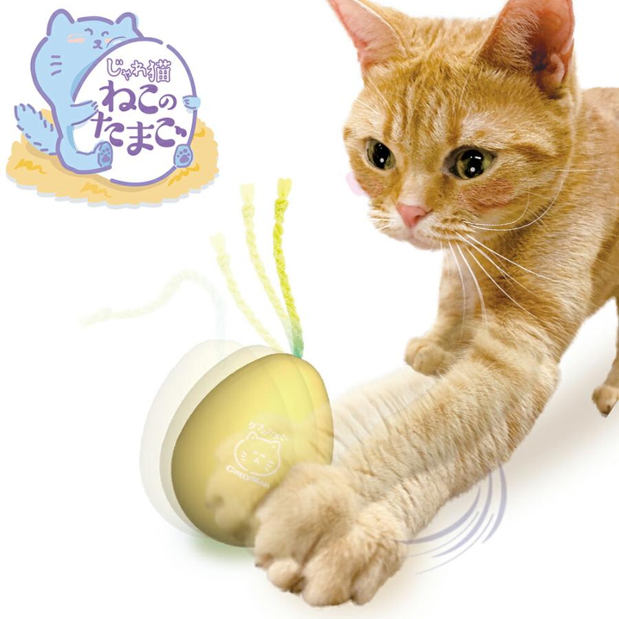 じゃれ猫 じゃれ猫 ねこのたまご : charm 第2ヤフー店 - 通販 - Yahoo