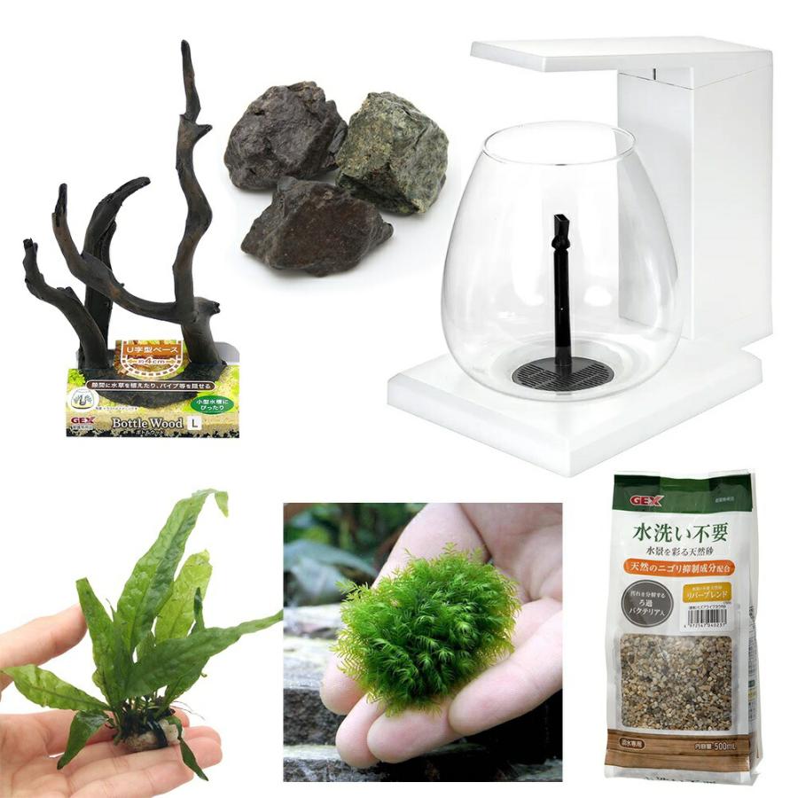 水草）GEX PERCO ペルコで作る小さな水草の世界 本州四国限定