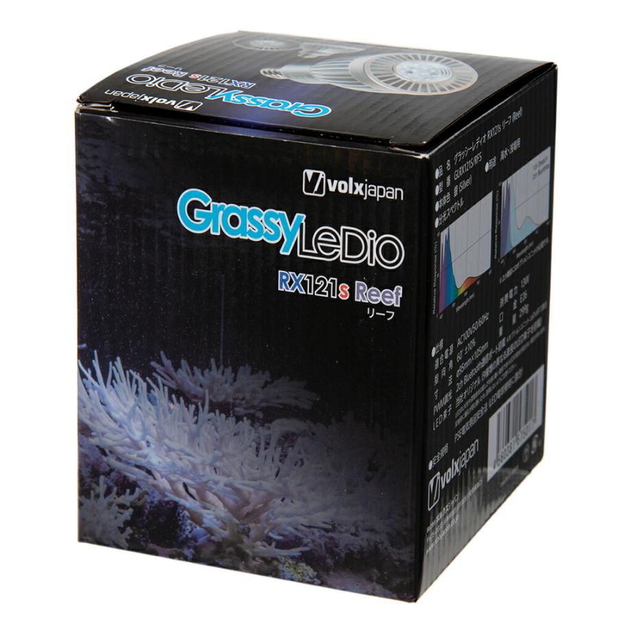 ボルクスジャパン Grassy LeDio RX121s Reef 銀 